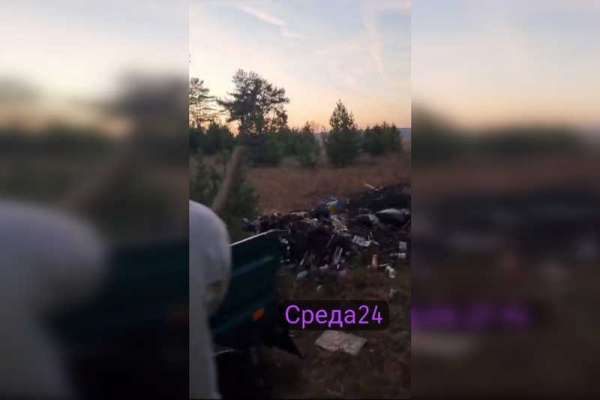 В Минусинском районе нарушителей обяжут очистить лес от мусора