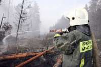 В Минусинском районе загорелся лес