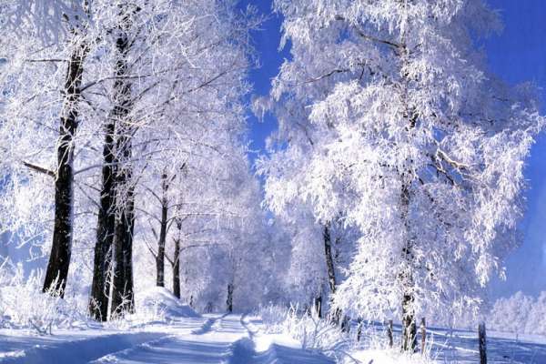 Январь в Минусинске и Абакане будет холоднее обычного