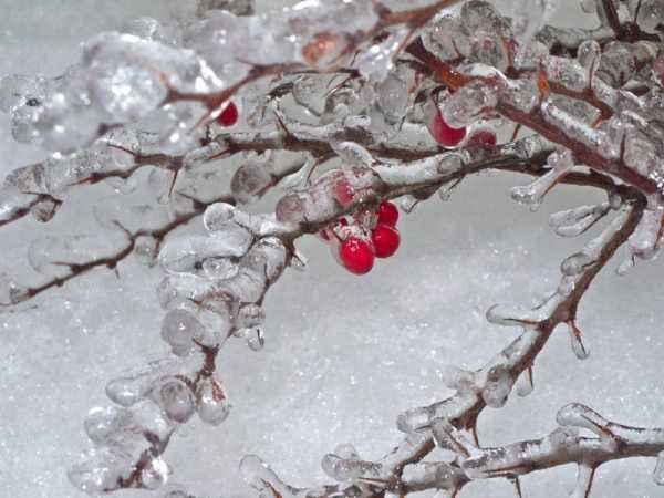 В Минусинске ожидается дождь и потеплеет до +3 °С