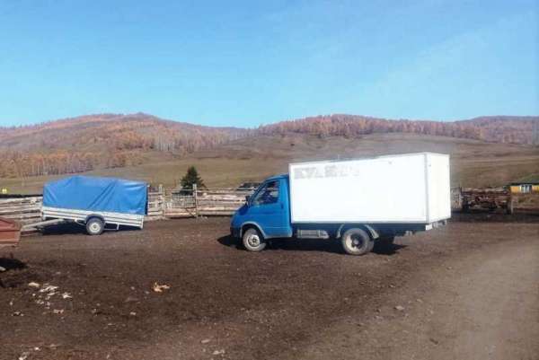 В Хакасии грузовик насмерть сбил пенсионера