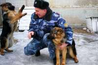 В Хакасии ИК-35 пополнилась двумя щенками немецкой овчарки