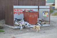 В Минусинске управляющую компанию оштрафуют за мусор