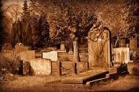 Деревни юга края смогут благоустроить местные кладбища