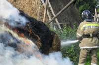 В Хакасии сгорело 16 тонн сена