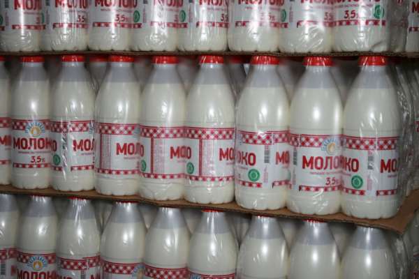 Шушенские и Курагинские фермеры позволяют краю быть в лидерах по производству молока