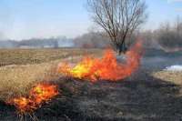 В регионах Сибири начались ландшафтные пожары