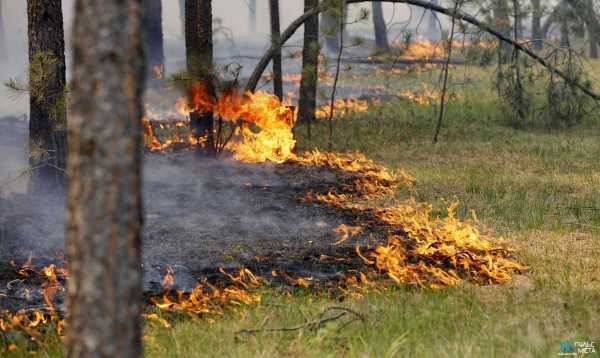 На юге Красноярского края продолжает гореть лес