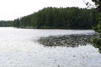В Минусинском районе в озере обнаружено тело неизвестной