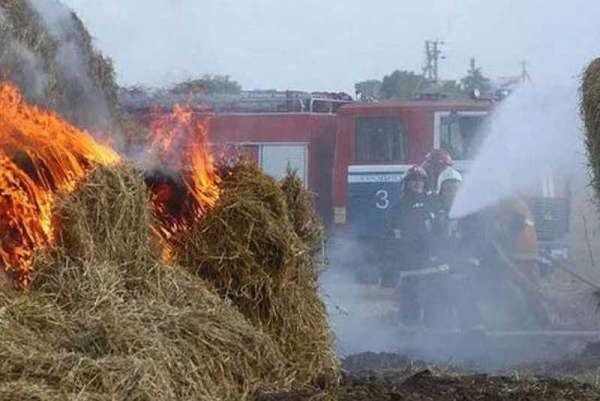 В Хакасии молния сожгла 15 тонн сена