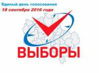 Наиболее активно в Сибири голосуют жители Кузбасса и Тувы