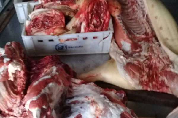 В Минусинск с нарушениями привезли три центнера свинины