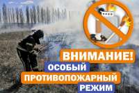 В Минусинске и на юге края вводится особый противопожарный режим