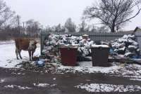 Замкнутый мусорный круг в Минусинске