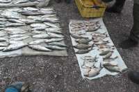Браконьеру из Хакасии грозит лишение свободы за рыбалку сетью
